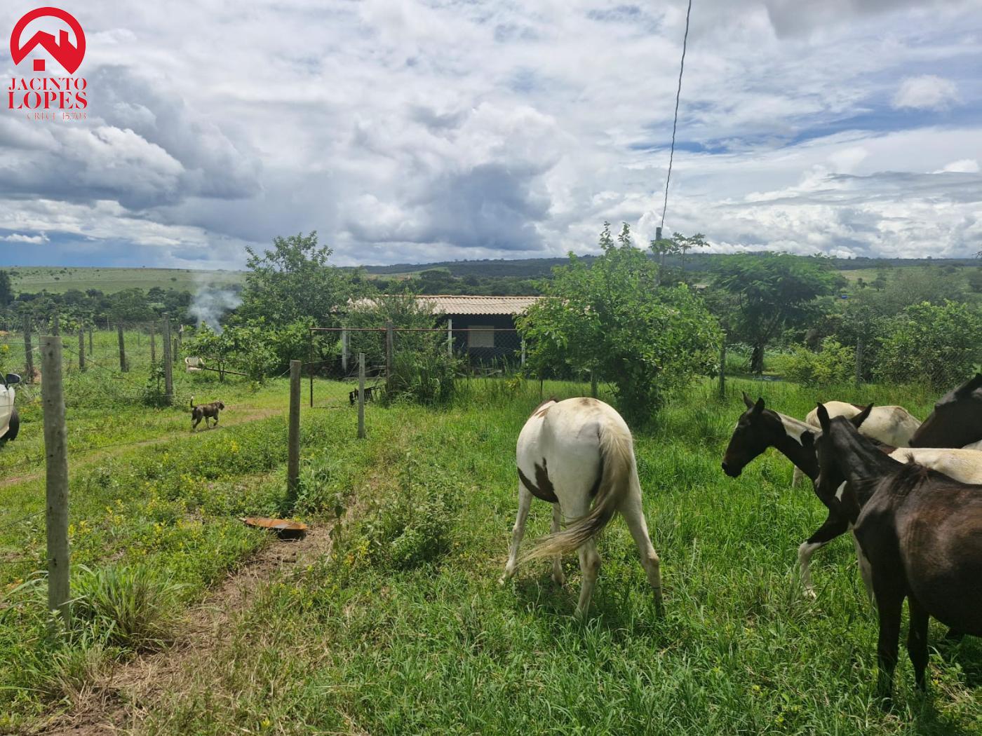 Fazenda à venda com 2 quartos, 120m² - Foto 12