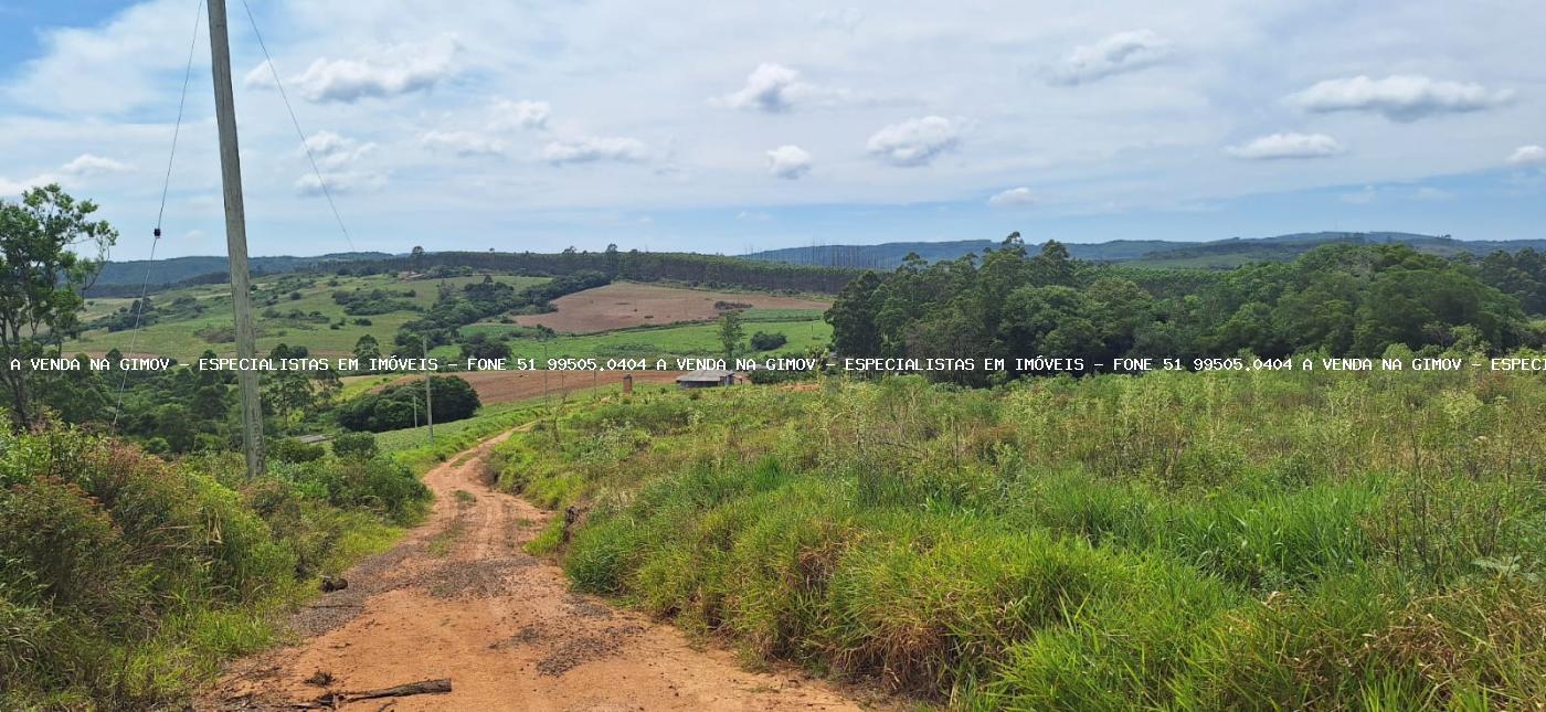 Fazenda à venda com 3 quartos, 2m² - Foto 17