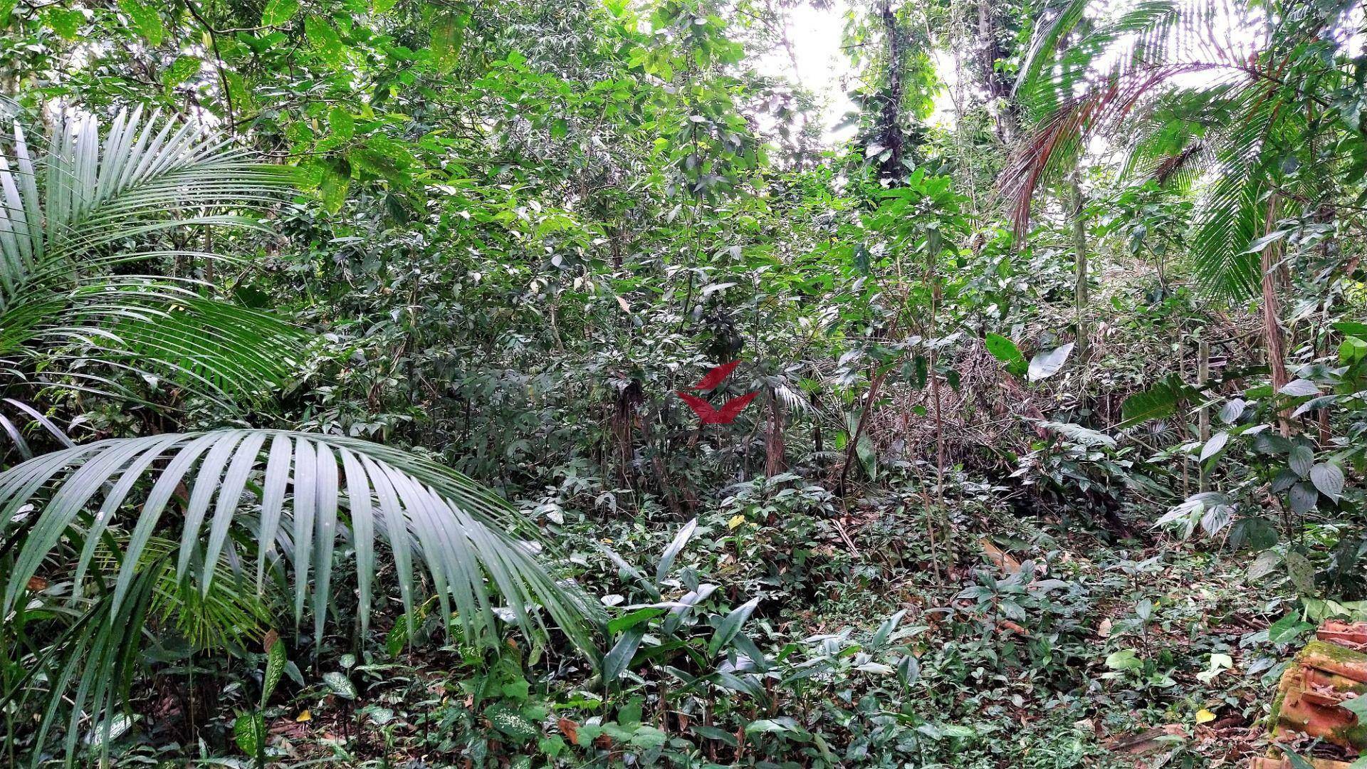 Loteamento e Condomínio à venda, 384M2 - Foto 9