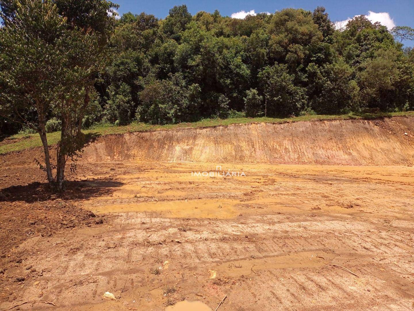 Terreno à venda, 5000M2 - Foto 4