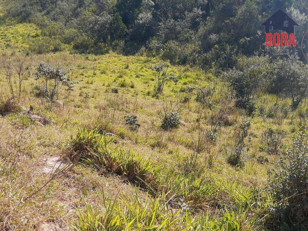 Terreno à venda, 500M2 - Foto 1