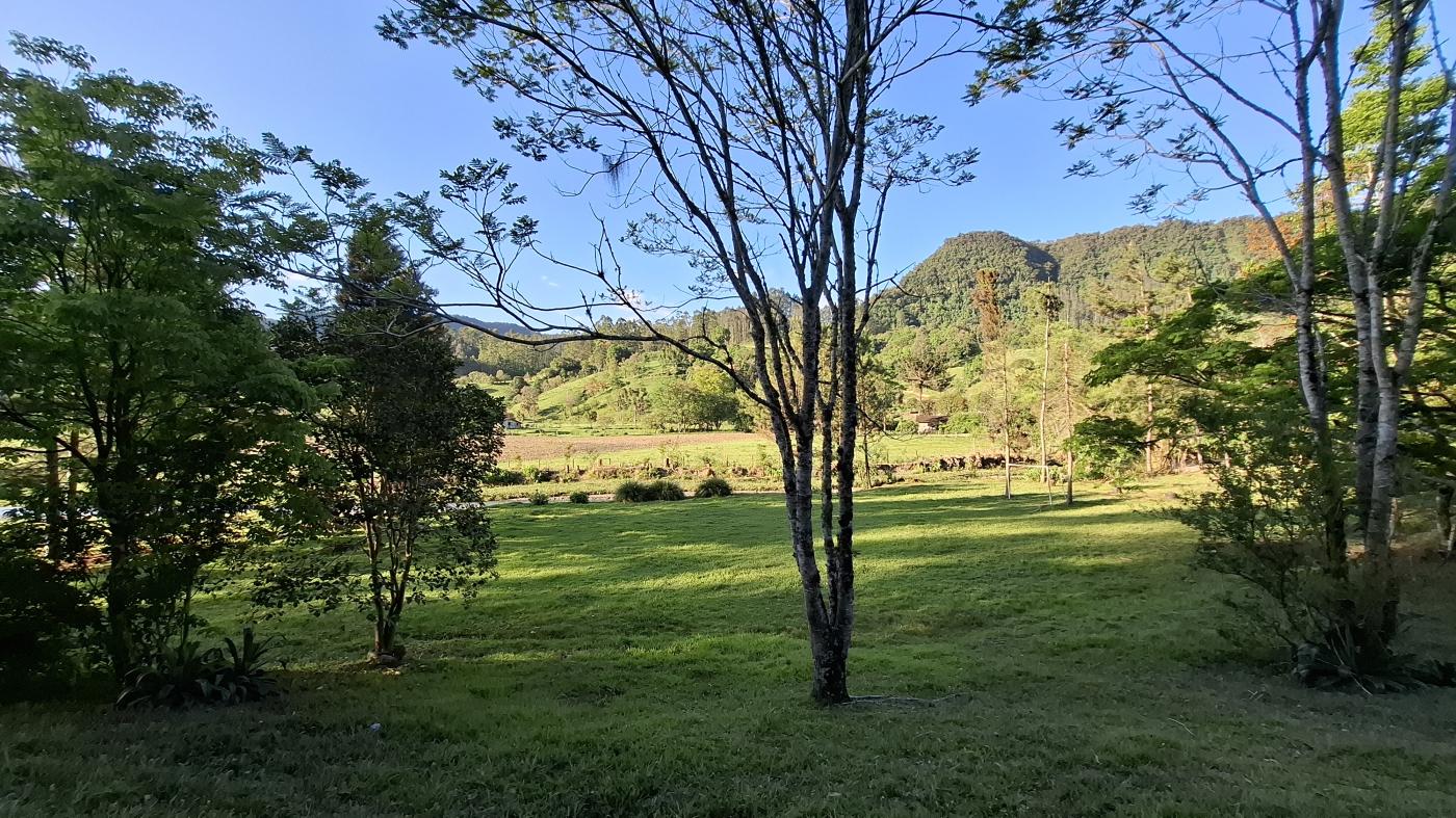 Fazenda à venda com 2 quartos, 8000m² - Foto 11