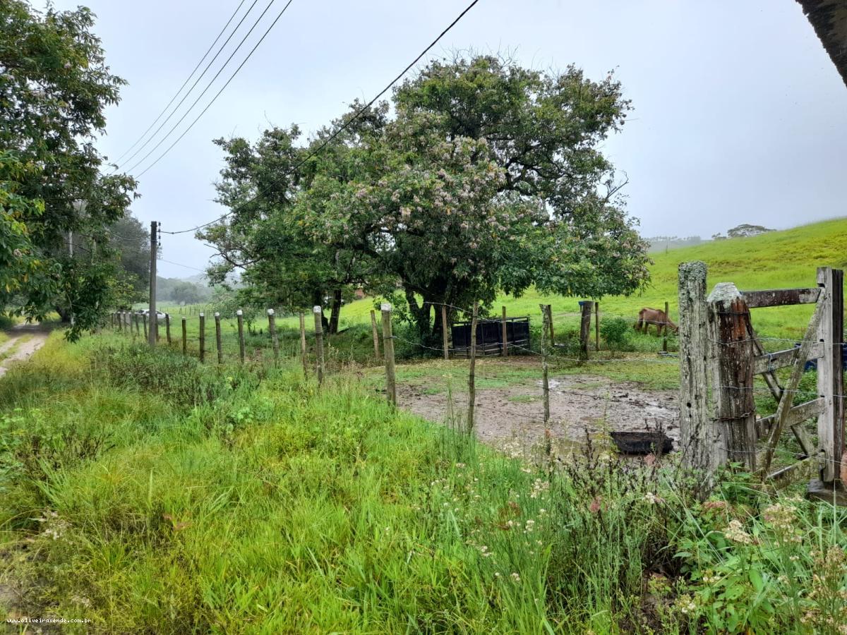 Fazenda à venda com 2 quartos, 61000m² - Foto 11