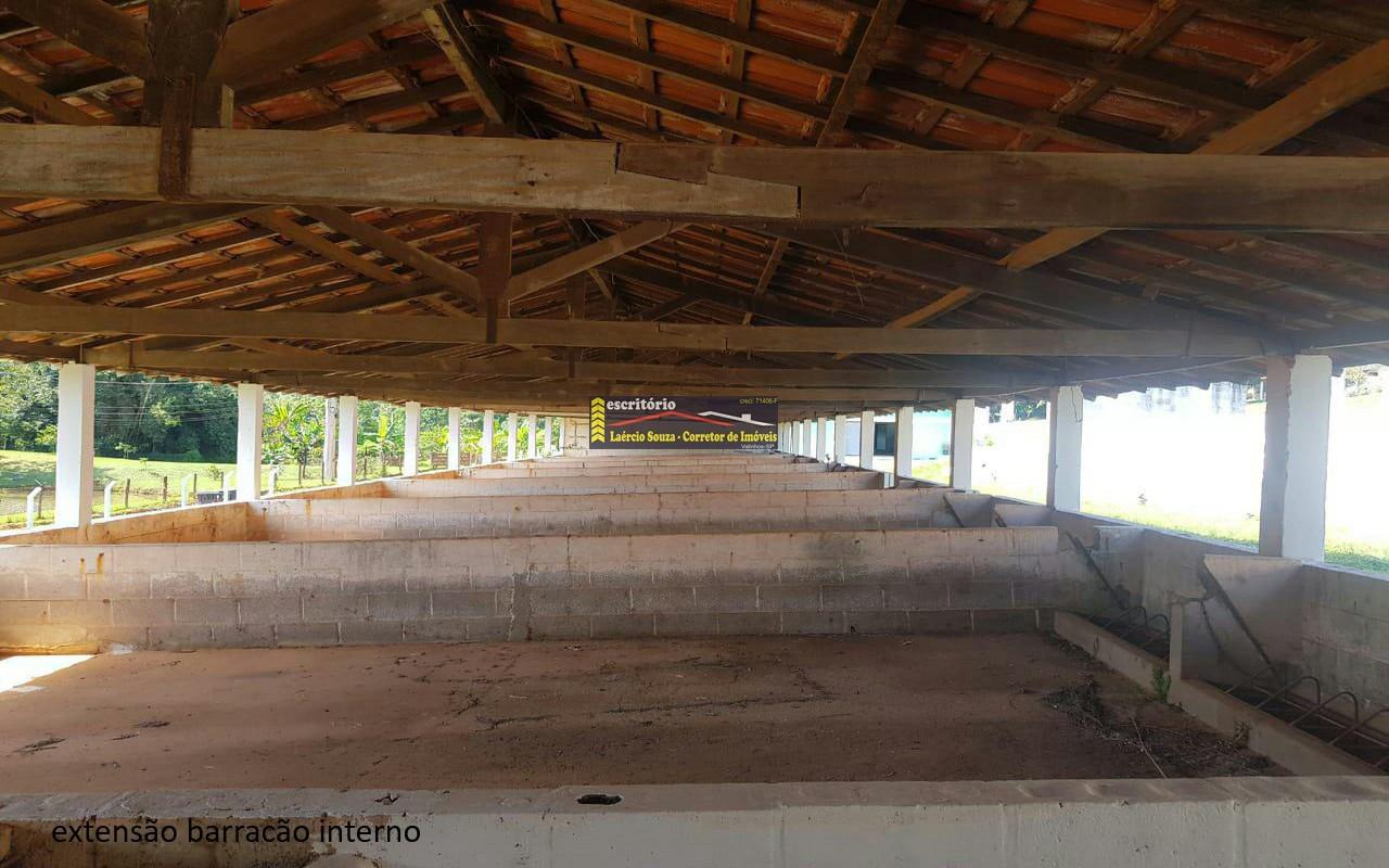 Sítio à venda - Foto 44
