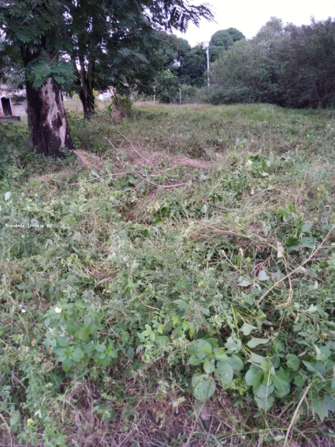 Terreno à venda, 360m² - Foto 2