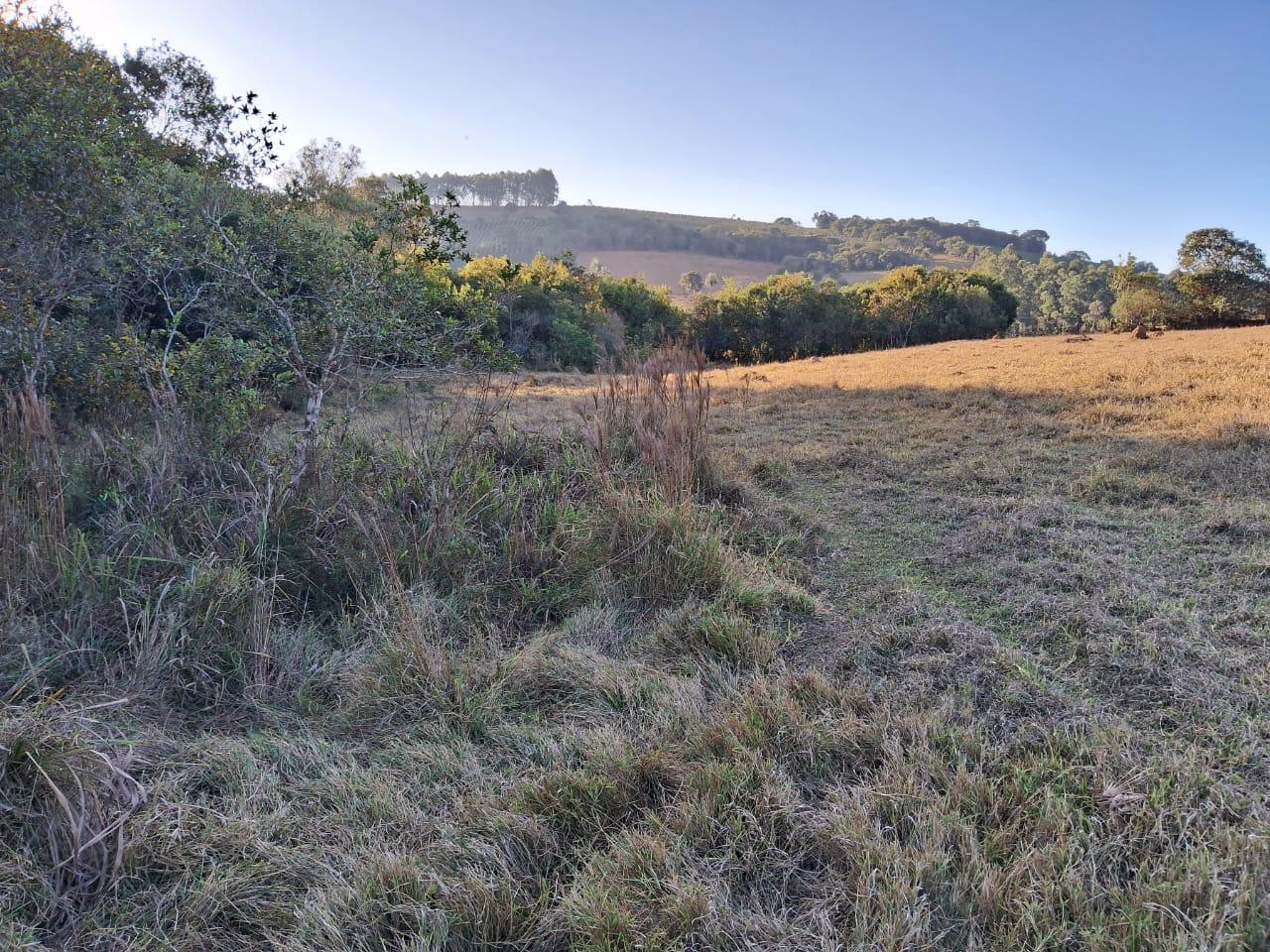 Fazenda à venda, 36000m² - Foto 9