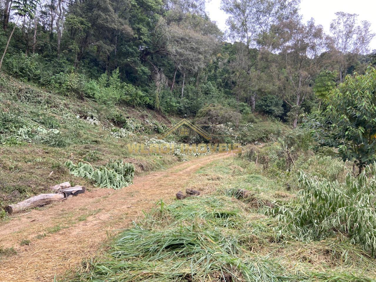 Terreno à venda, 40000m² - Foto 20