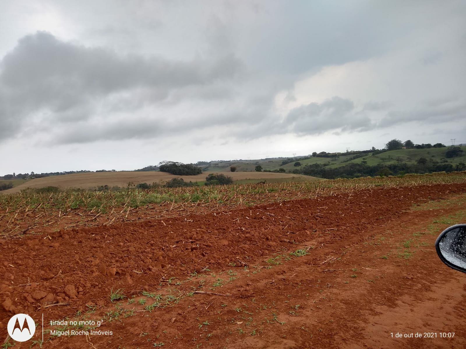 Fazenda à venda com 8 quartos, 3146000m² - Foto 4