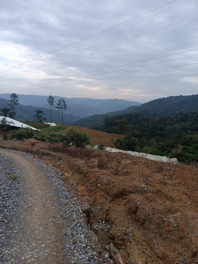 Fazenda à venda com 3 quartos, 260000m² - Foto 39