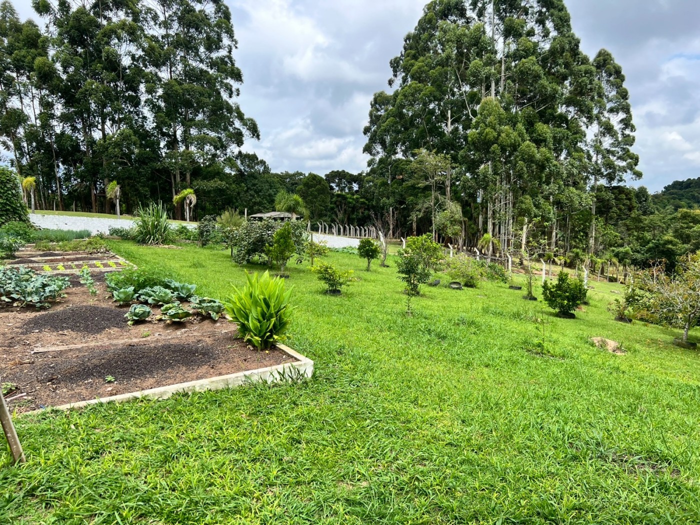 Fazenda à venda, 24200m² - Foto 18