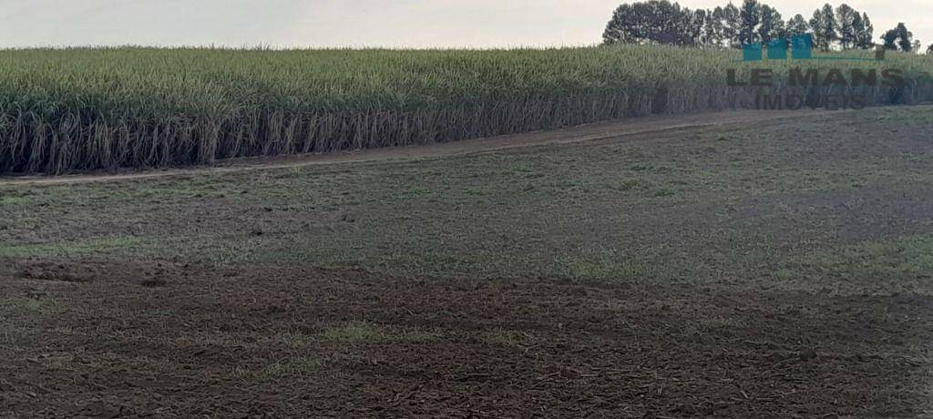 Terreno à venda, 22M2 - Foto 4