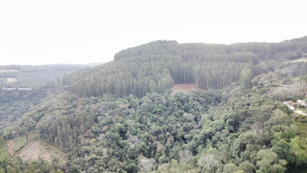 Loteamento e Condomínio, 35 hectares - Foto 6