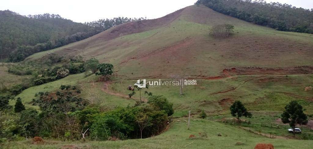 Fazenda à venda com 3 quartos, 1110000M2 - Foto 9