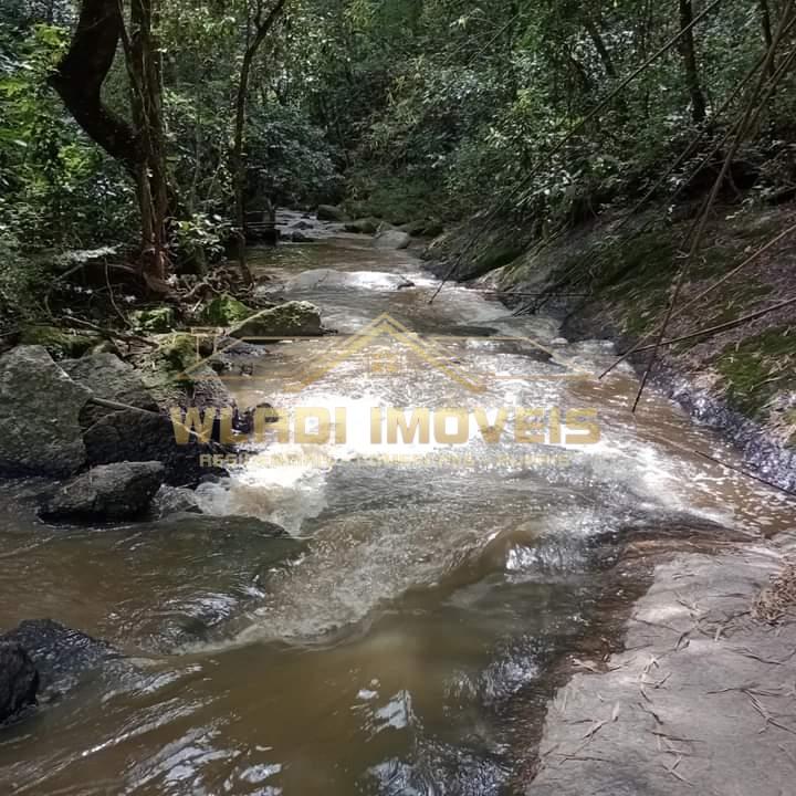 Fazenda à venda com 7 quartos, 10300m² - Foto 3