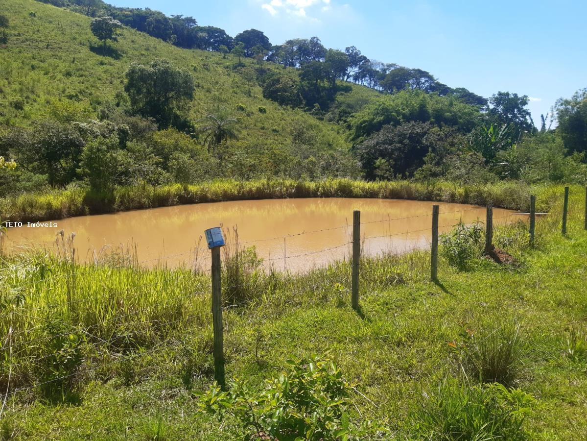 Fazenda à venda com 2 quartos, 4m² - Foto 25