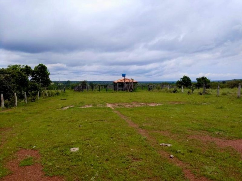 Fazenda à venda, 1613m² - Foto 22