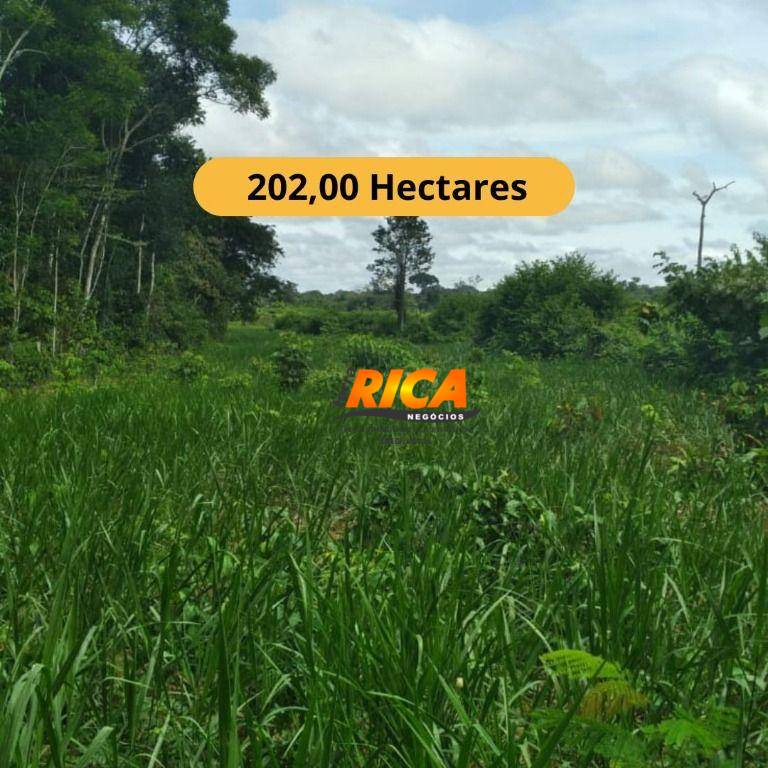 Fazenda, 203 hectares - Foto 1