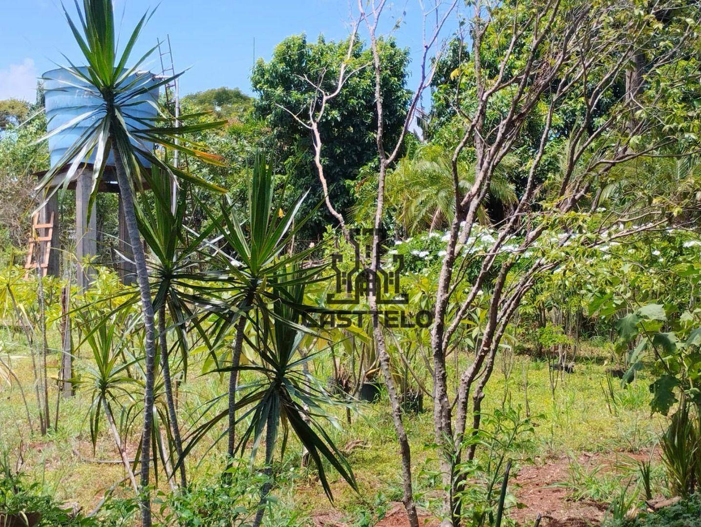 Chácara à venda com 3 quartos, 5022M2 - Foto 5