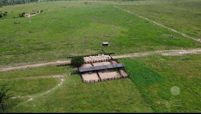 Fazenda à venda, 9360000M2 - Foto 5