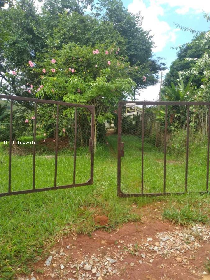 Fazenda à venda com 3 quartos, 6000m² - Foto 2