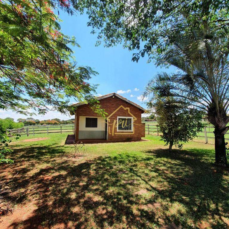 Haras e Área Rural Padrão à venda com 4 quartos, 1000m² - Foto 28