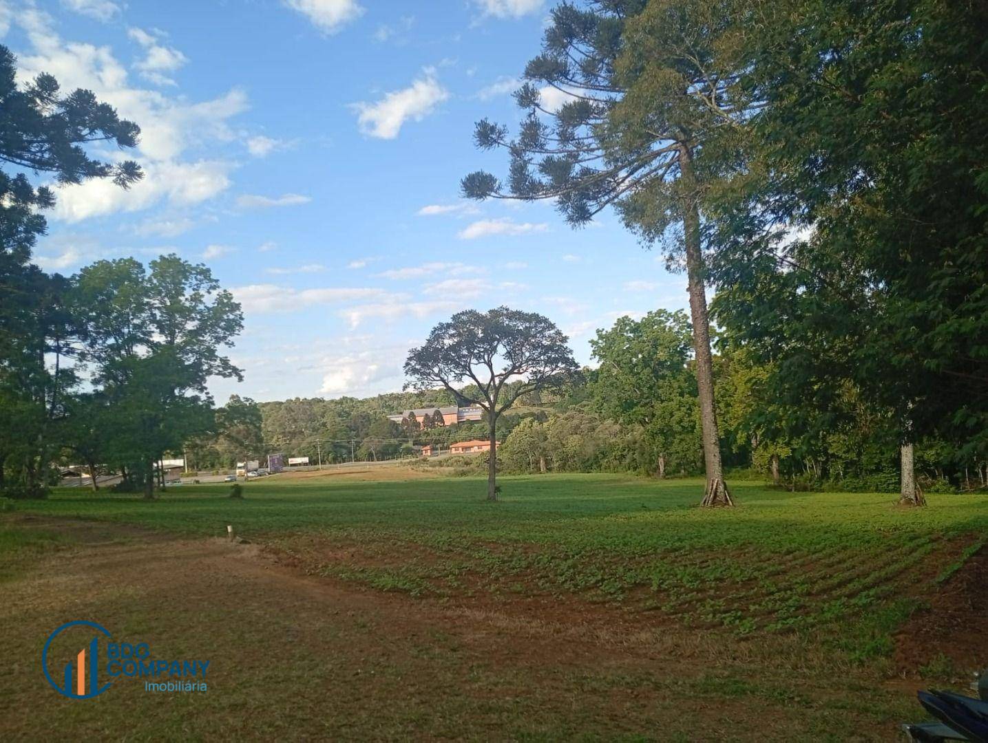 Chácara, 2 quartos, 5445 m² - Foto 24