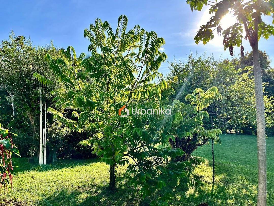 Chácara, 3 quartos, 1212 m² - Foto 3