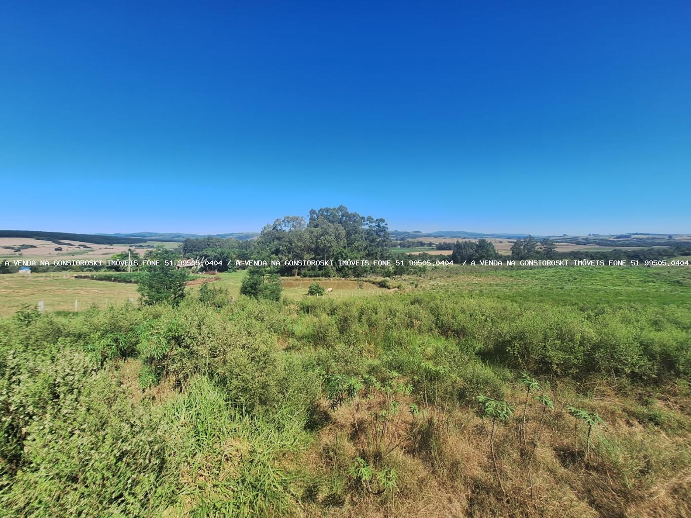 Sítio à venda com 3 quartos, 40000m² - Foto 25