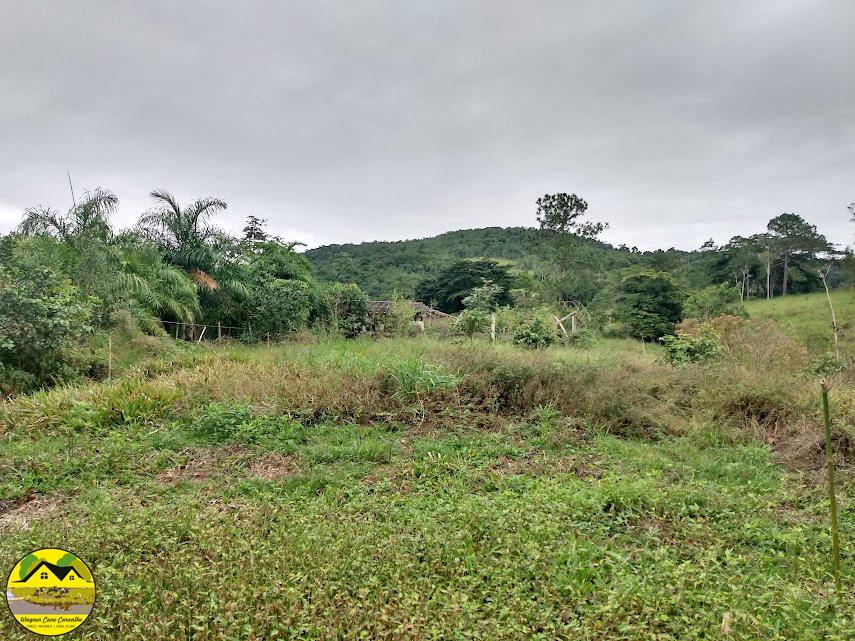 Fazenda à venda com 3 quartos, 30m² - Foto 22