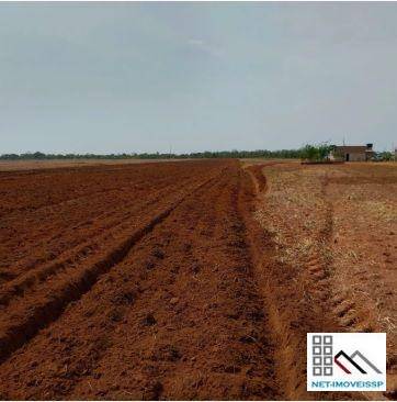 Fazenda, 5076 hectares - Foto 3