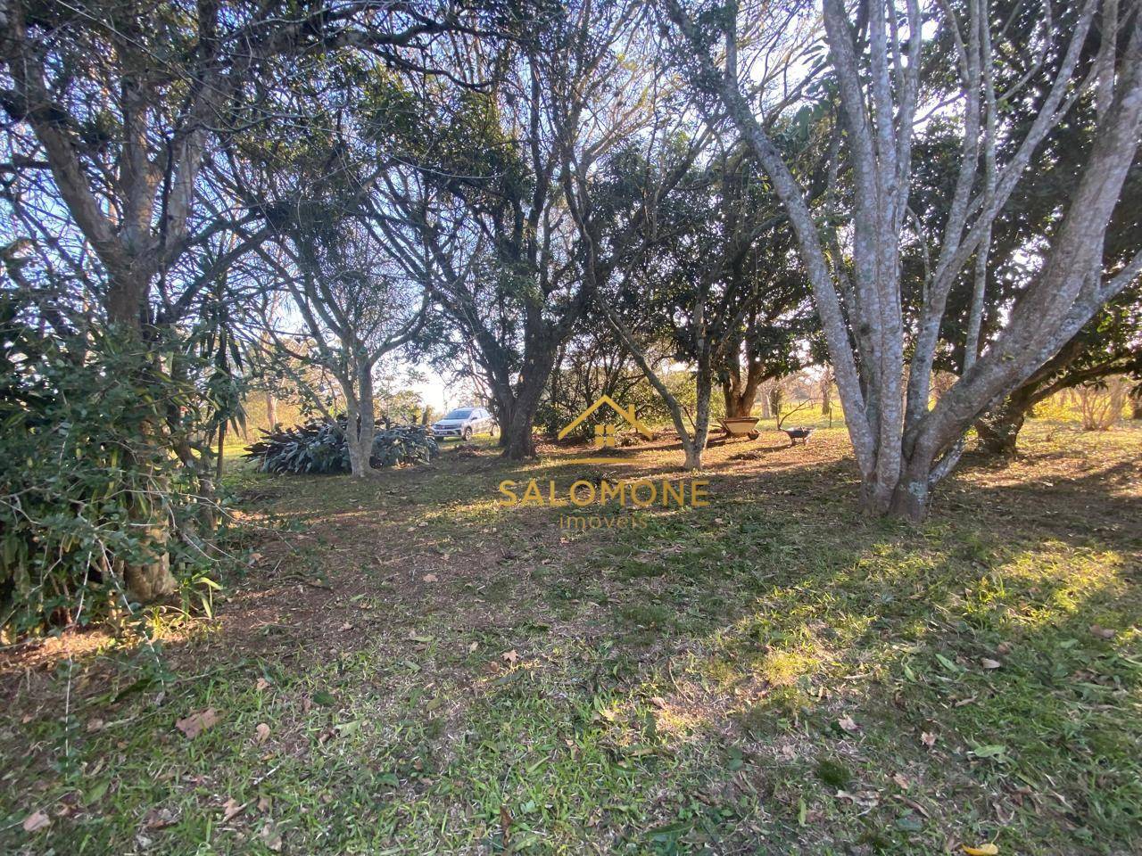 Sítio, 13 hectares - Foto 35