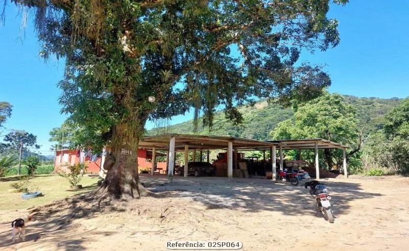 Fazenda à venda com 3 quartos, 160000m² - Foto 5