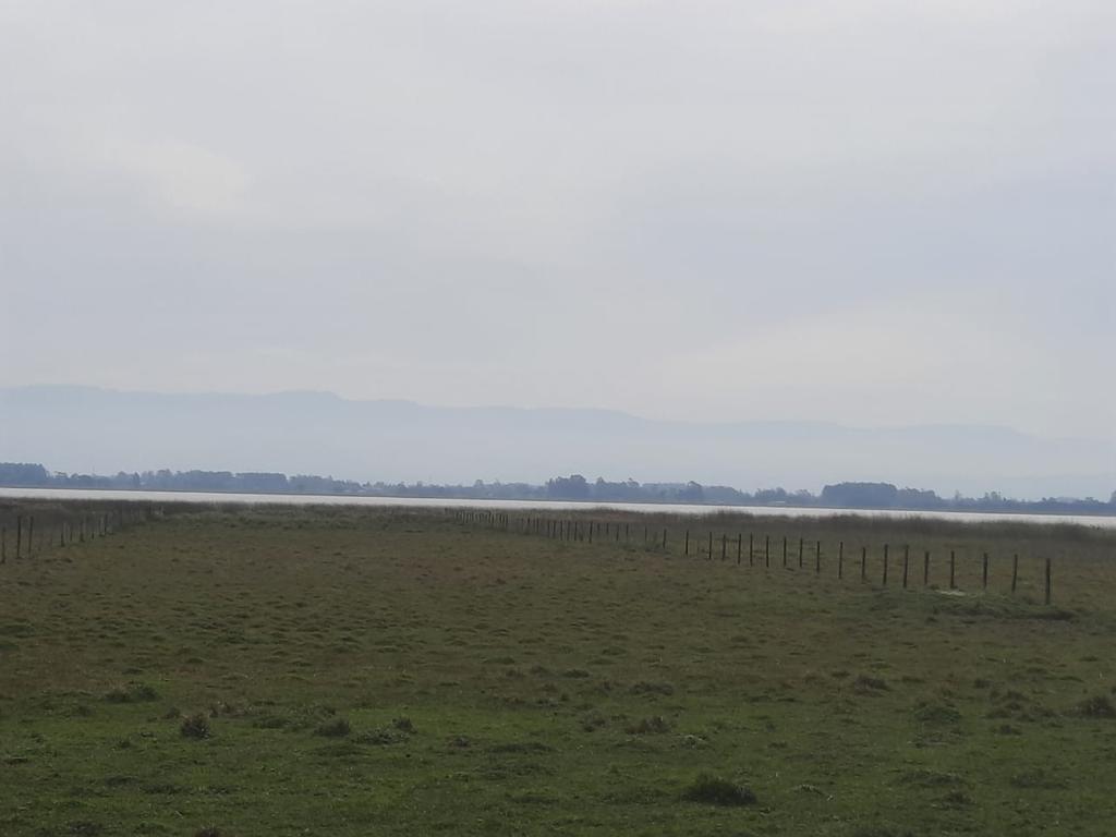 Fazenda à venda com 1 quarto, 25000m² - Foto 6