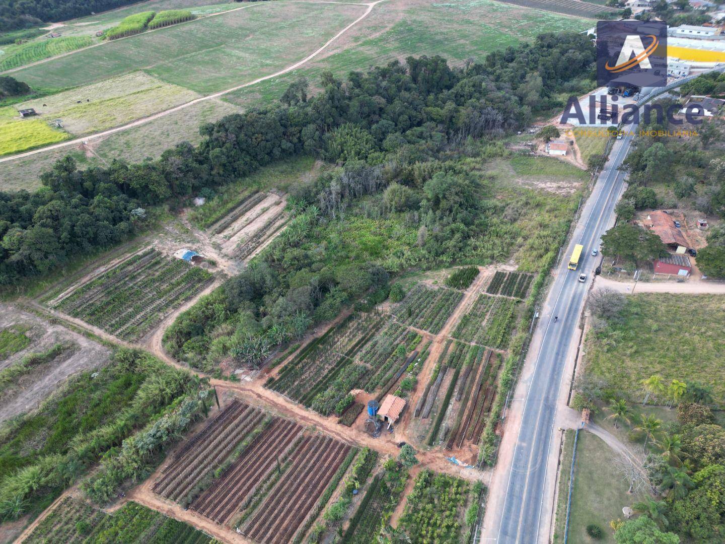 Terreno à venda, 41000M2 - Foto 12