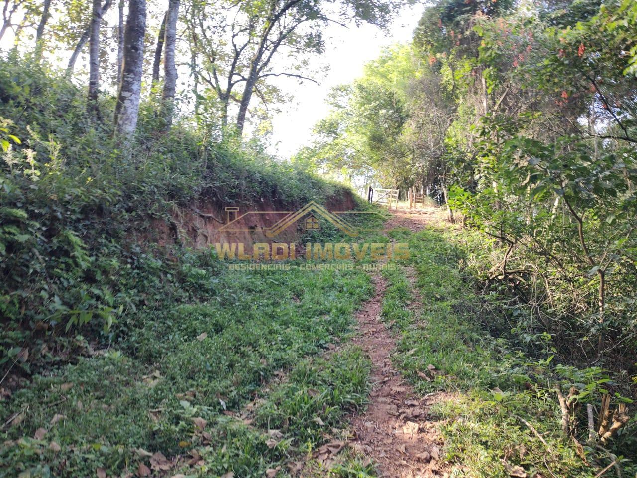 Fazenda à venda, 6m² - Foto 5