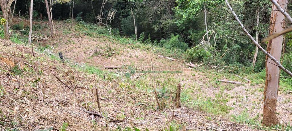 Loteamento e Condomínio à venda, 1750M2 - Foto 9