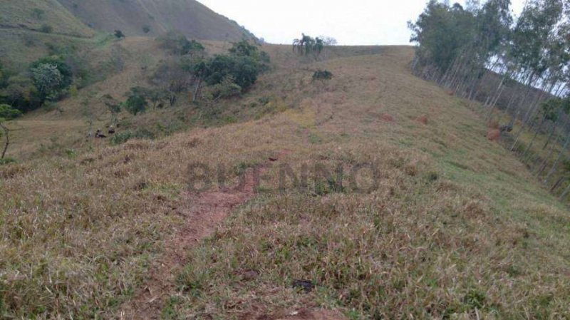 Fazenda à venda com 3 quartos, 470m² - Foto 5