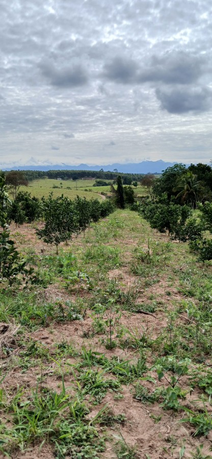 Sítio à venda com 3 quartos, 67000m² - Foto 21
