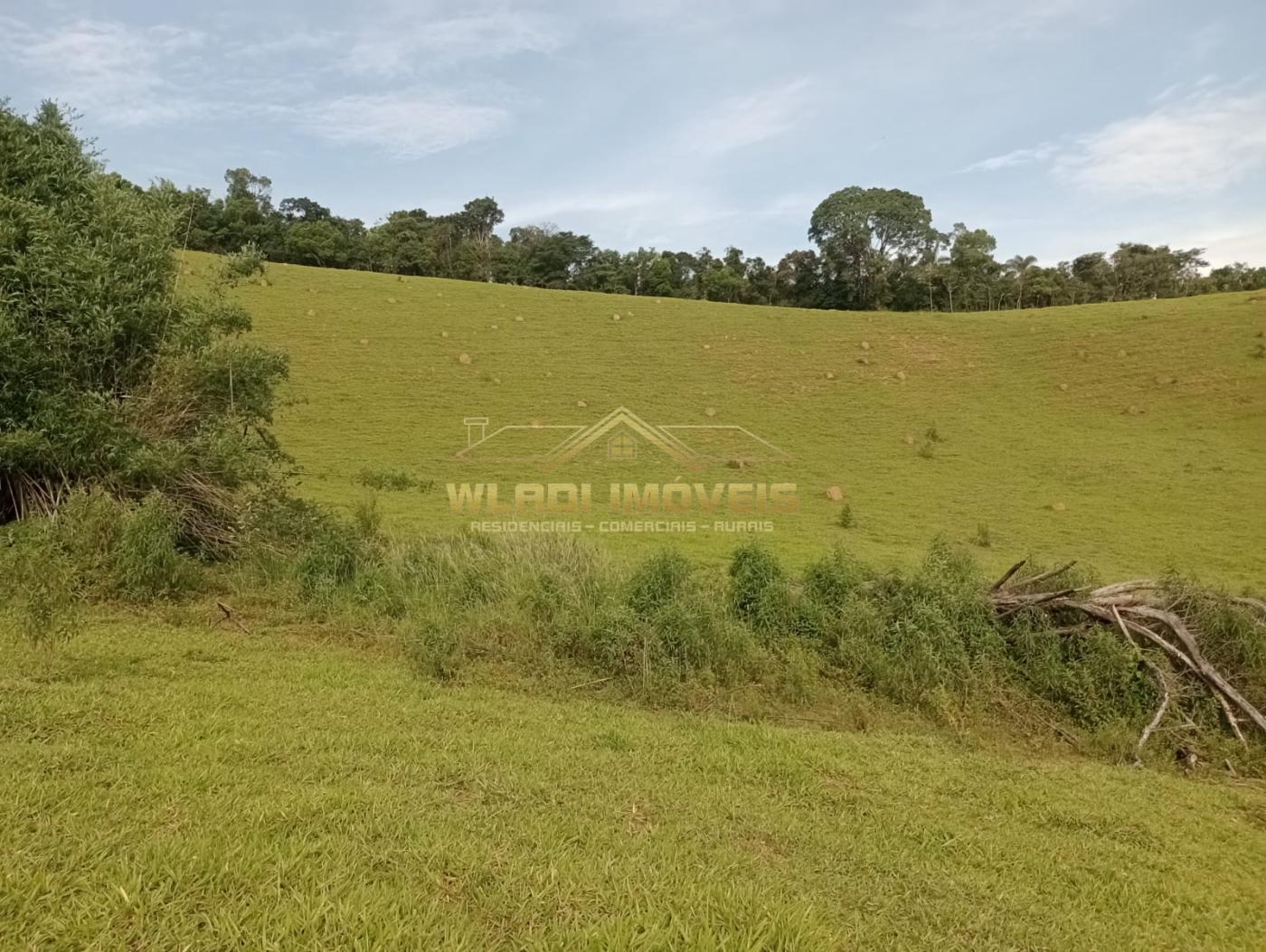 Fazenda à venda com 4 quartos, 7m² - Foto 12