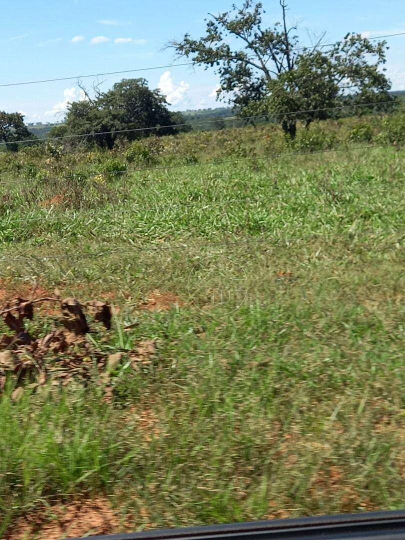 Fazenda à venda, 11610000M2 - Foto 6