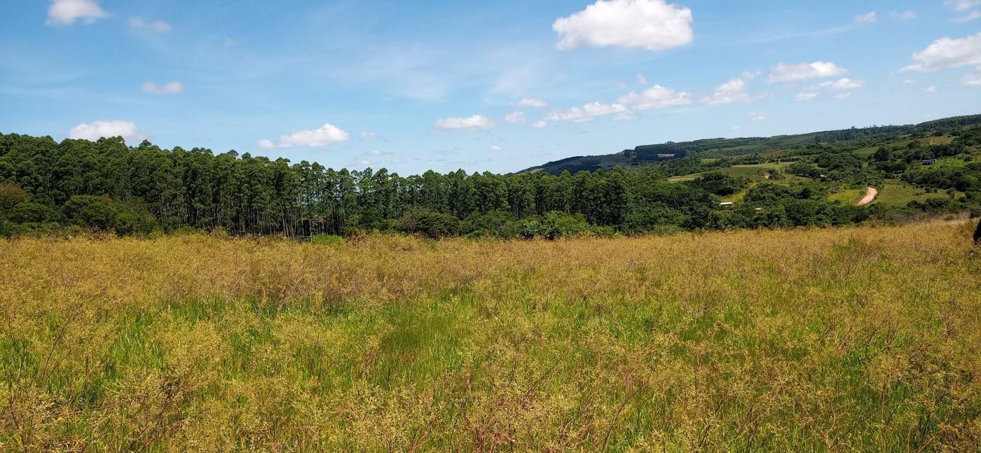 Loteamento e Condomínio à venda, 116000m² - Foto 11