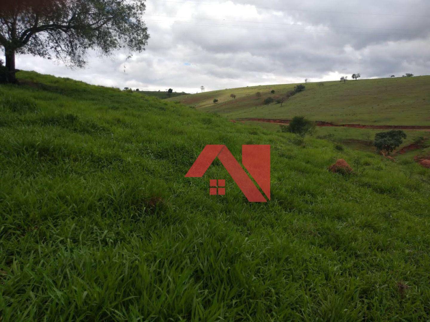 Fazenda-Sítio-Chácara, 3 hectares - Foto 4