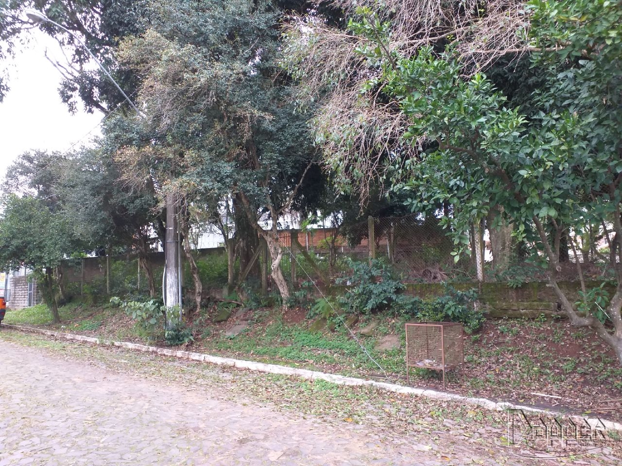 Terreno à venda - Foto 2