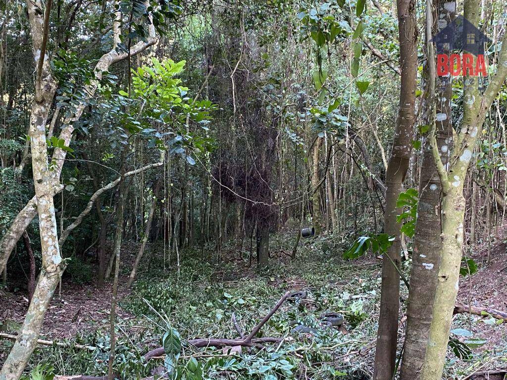 Terreno à venda, 518M2 - Foto 1