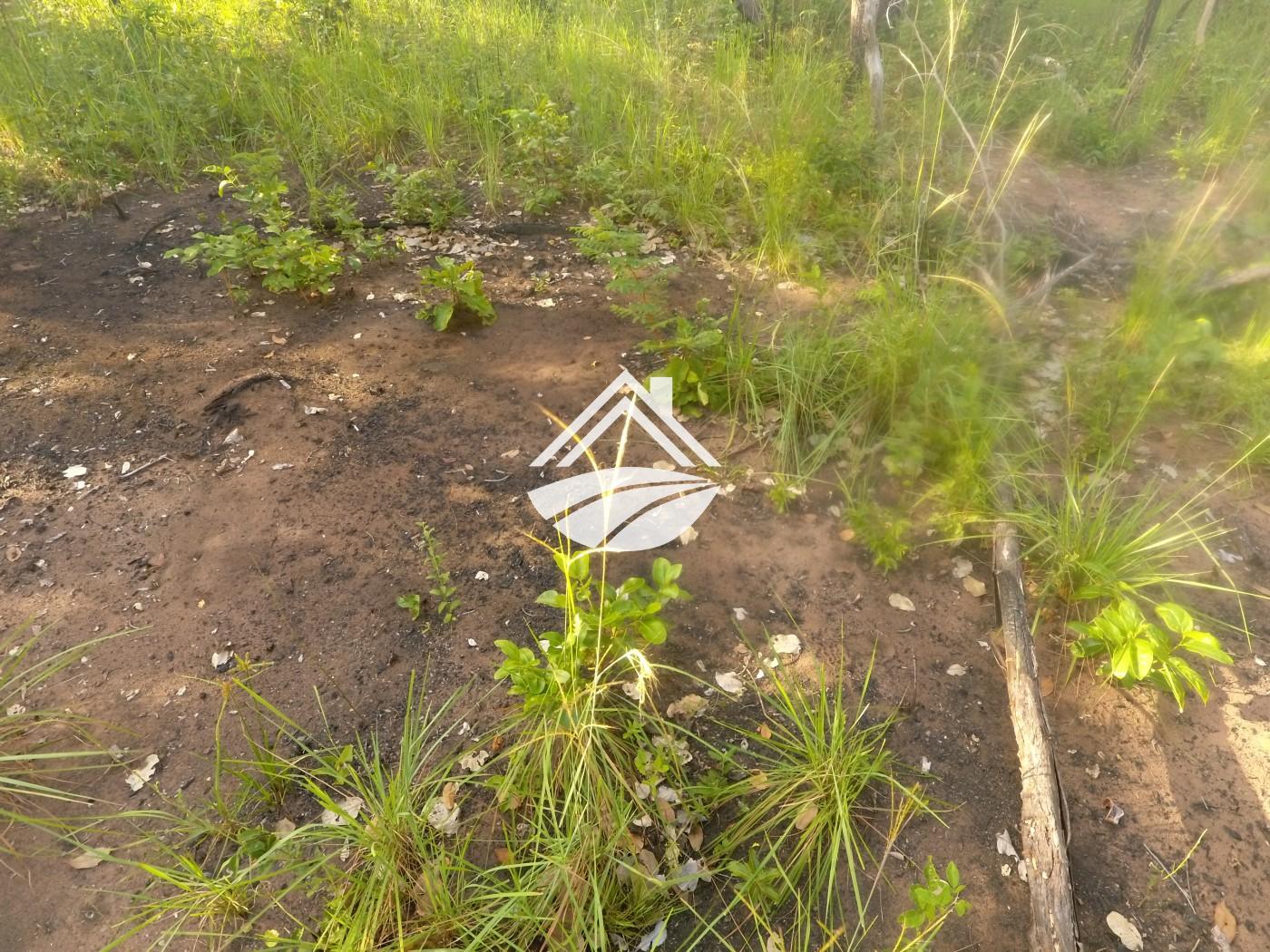 Fazenda-Sítio-Chácara, 1 m² - Foto 28