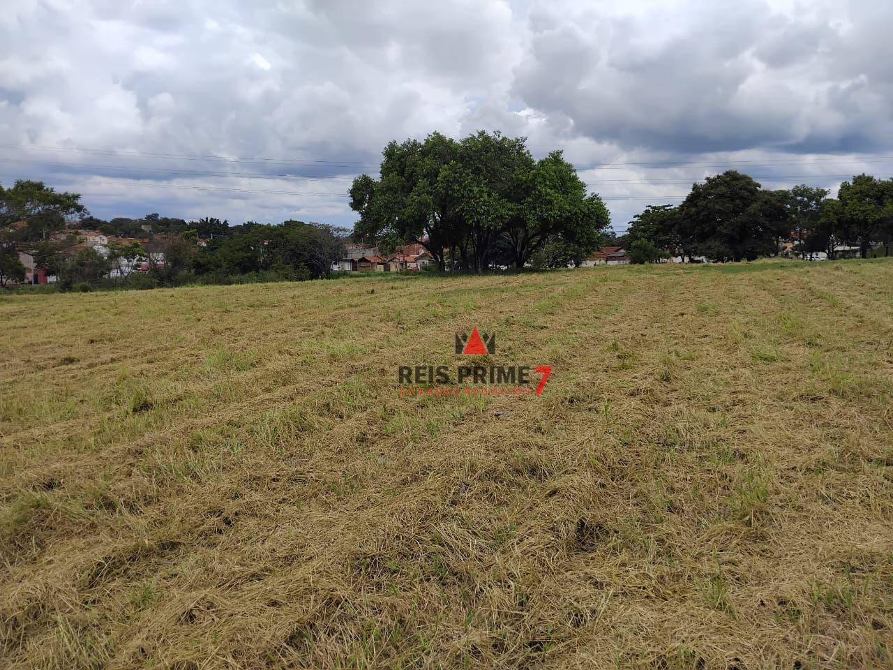 Terreno, 2 hectares - Foto 14