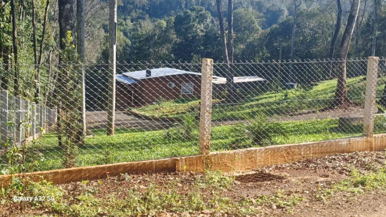 Sítio, 3 quartos, 3800 m² - Foto 5