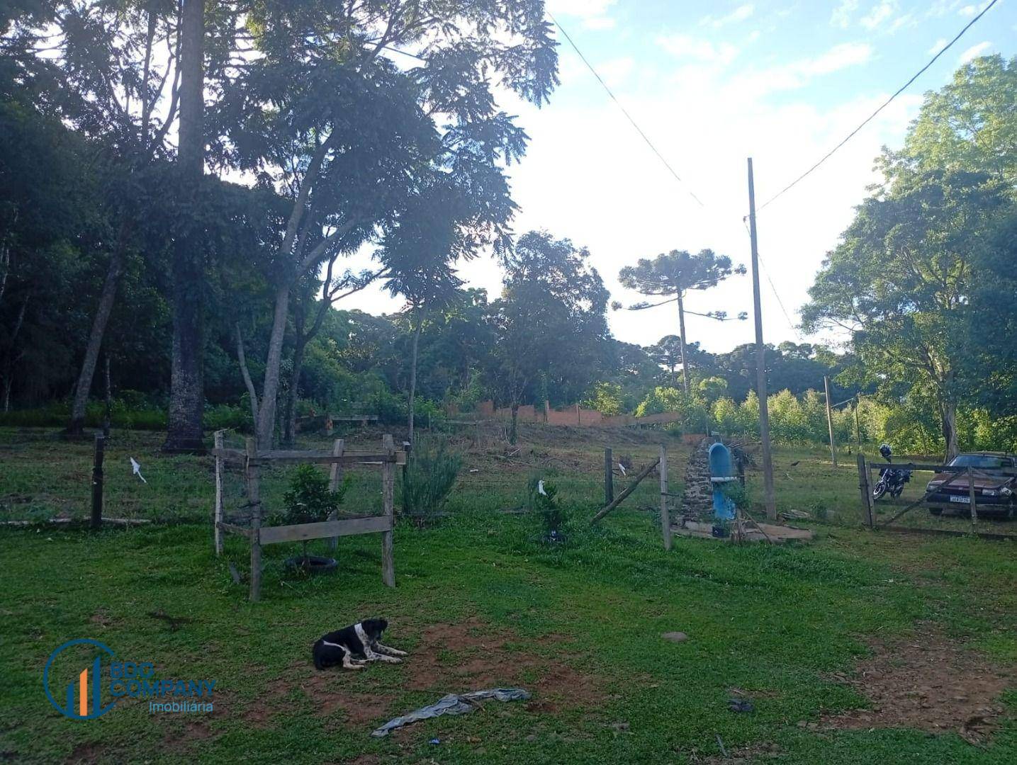 Chácara, 2 quartos, 5445 m² - Foto 11