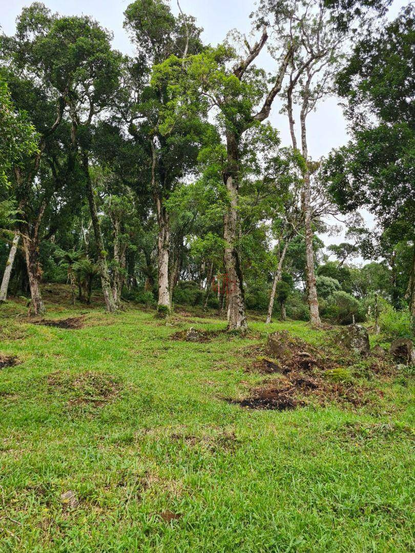 Terreno à venda, 3400M2 - Foto 4