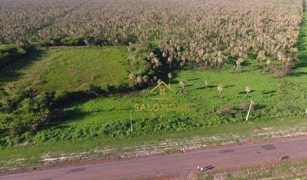 Fazenda, 5897 hectares - Foto 3